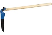 39813